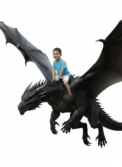 Dragon Rider Image Generation
